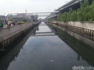 Mungkinkah Buaya Kali Grogol Sama dengan yang Muncul di Priok?