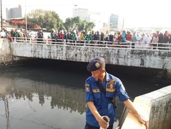 LIPI: Buaya Stres Kelamaan di Kali Grogol, akan Cari Habitat Lain