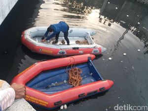 3 Hari Pencarian, Petugas Harap Buaya di Kali Grogol Tertangkap