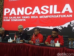 Wayan Koster Menang, PDIP: Kekuatan PD di Bali Kami Ambil Alih