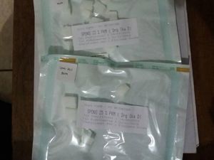 Spons Koral Percepat Penyembuhan Luka Nantinya Bisa Dibeli Massal