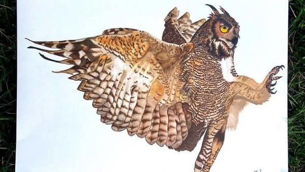 Keren! Seniman Ini Melukis Realis Hewan Seperti Asli