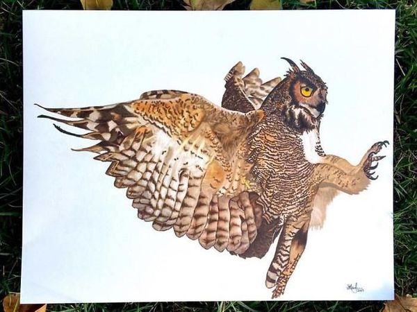Keren! Seniman Ini Melukis Realis Hewan Seperti Asli
