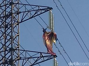 Hari Pertama Lebaran Listrik di Ponorogo Padam, Ini Penyebabnya