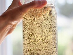 Ini Cara Bakar Lemak dan Turunkan Bobot 7 Kg dalam 10 Hari