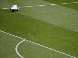 Sadio Mane usai mencetak gol ke gawang Jepang, 24 Juni lau. REUTERS/Marcos Brindicci.