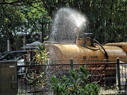 Siasati Sulitnya Lahan, Pemprov DKI Genjot Vertical Garden di 2020