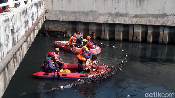 Begini Aksi Pasukan Biru Susuri Kali Grogol Berburu Buaya