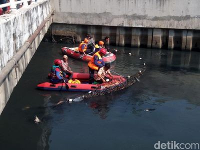 Begini Aksi Pasukan Biru Susuri Kali Grogol Berburu Buaya