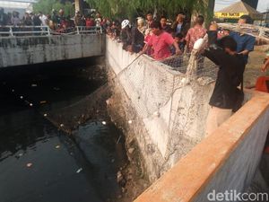 Pencarian Buaya di Kali Grogol Dihentikan, Jaring Diangkat Pencarian Buaya di Kali Grogol Dihentikan, Jaring Diangkat