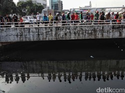 Ternyata, Ini Alasan Perburuan Buaya Kali Grogol Disetop Sementara