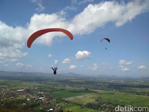 Puluhan Atlet Adu Kemampuan di Festival Paralayang Trenggalek