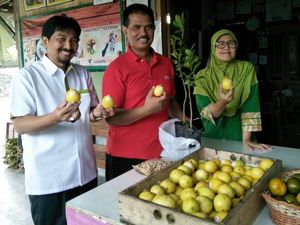 Lewat Wisata Agro, Cara Kementan Sejahterakan Petani