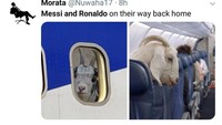 Begini penampakan kambing-kambing di jendela pesawat, yang merupakan sindiran bagi Messi dan Ronaldo karena sama-sama tersingkir di Piala Dunia 2018. (Foto: Twitter @Nuwaha27)