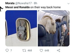 Begini penampakan kambing-kambing di jendela pesawat, yang merupakan sindiran bagi Messi dan Ronaldo karena sama-sama tersingkir di Piala Dunia 2018. (Foto: Twitter @Nuwaha27)
