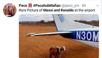 Kalau ini pose kambing Messi dan Ronaldo sedang berada di luar pesawat, sedang berteduh di bawah sayap pesawat yang akan memulangkannya. Istirahat dulu dong sebelum pulang. (Foto: Twitter @peco_yrn)