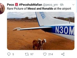 Kalau ini pose kambing Messi dan Ronaldo sedang berada di luar pesawat, sedang berteduh di bawah sayap pesawat yang akan memulangkannya. Istirahat dulu dong sebelum pulang. (Foto: Twitter @peco_yrn)