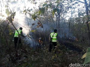 2 Hektar Lahan Pohon Jati di Ponorogo Terbakar