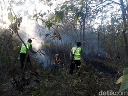 2 Hektar Lahan Pohon Jati di Ponorogo Terbakar