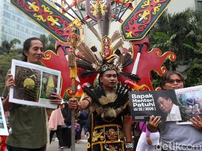 Kampanye Selamatkan Meratus, Rimba Terakhir di Kalsel