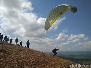 Keseruan Puluhan Atlet Paralayang Melayang di Langit Trenggalek