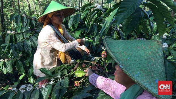 Kopi Susu, 'Pencuri' Celah di Antara Milenial Kelas Menengah