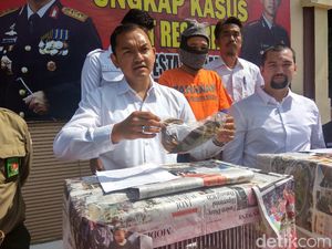 Polisi Amankan Tukang Ojek Penjual Burung Cenderawasih