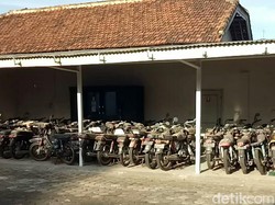 Ini yang Bikin Kayu Sengon Jadi Mahal