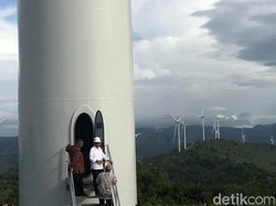 Jokowi Tak Akan Atur Harga Listrik dari Kebun Angin