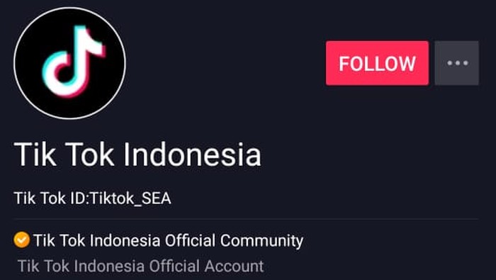 Profil akun resmi Tik Tok Indonesia. Foto: Tik Tok