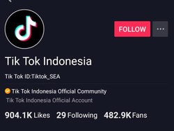 Komisi I DPR Dukung Pemblokiran Tik Tok