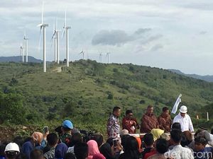 Menyusuri Jalan Panjang Menuju Kebun Angin Kebanggaan Jokowi Menyusuri Jalan Panjang Menuju Kebun Angin Kebanggaan Jokowi