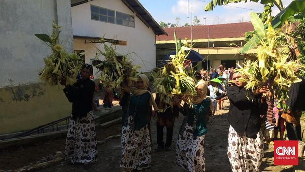 Upacara Panen Kopi Sengon, Simbol Kawin Sri dan Joko