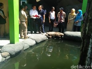 Ini Ancaman Polisi Jika Masudin Tak Serahkan Arapaima Peliharaanya Ini Ancaman Polisi Jika Masudin Tak Serahkan Arapaima Peliharaanya