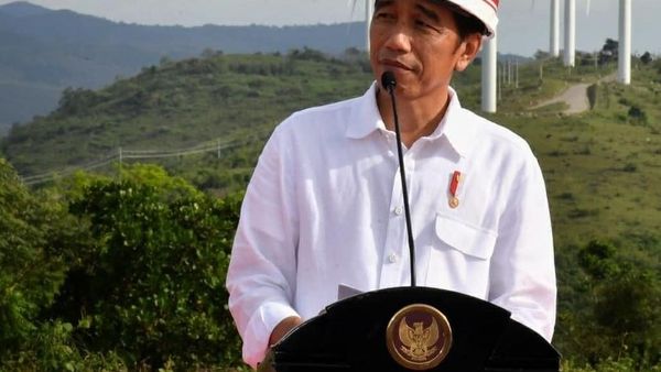 Foto: Kebun Angin Jokowi vs Kebun Angin China, Cakep Mana?