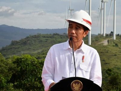 Foto: Kebun Angin Jokowi vs Kebun Angin China, Cakep Mana?