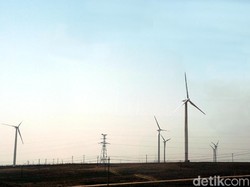 Jokowi Resmikan Kebun Angin Sidrap, China Ternyata Sudah Punya Duluan