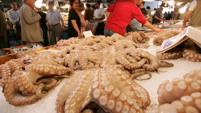 Rabio si Oktopus: Meramal Piala Dunia, Mati, Dimakan