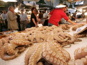 Rabio si Oktopus: Meramal Piala Dunia, Mati, Dimakan