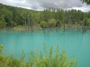 Danau Biru Jepang yang Memukau Tanpa Photoshop