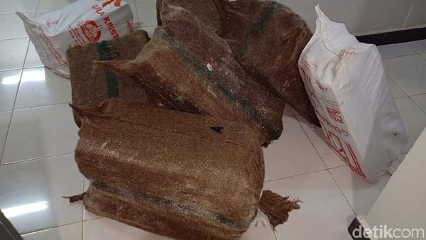 Penampakan Uang Rp 30 M yang Diselamatkan dari KM Lestari Maju