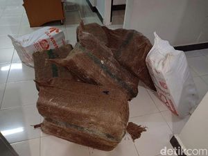Penampakan Uang Rp 30 M yang Diselamatkan dari KM Lestari Maju Penampakan Uang Rp 30 M yang Diselamatkan dari KM Lestari Maju