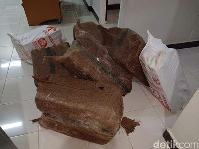 Penampakan Uang Rp 30 M yang Diselamatkan dari KM Lestari Maju
