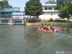 Susuri Sungai di Surabaya, Petugas Gabungan Buru Arapaima Susuri Sungai di Surabaya, Petugas Gabungan Buru Arapaima