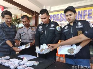 Warga Magelang Ini Ditangkap Saat Edarkan 1 Kg Ganja di Sleman