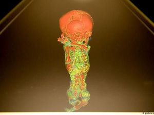 Hologram di Museum Jerman Ungkap Misteri di Balik Mumi