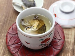 Berani Coba? Koktail Paling Mematikan di Dunia dari Sirip Ikan Fugu