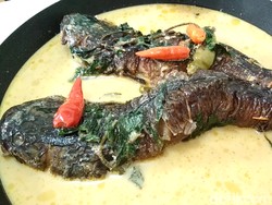 Olahan Kotok Kutuk Pedas Ini Dijamin Bikin Berkeringat, Mau Coba?