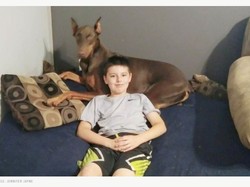 Salut! Bocah Ini Jual Semua Mainannya Demi Selamatkan Anjing Peliharaan