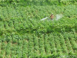 Kemendes PDTT Gencar Kenalkan Ekonomi Digital di Daerah Tertinggal